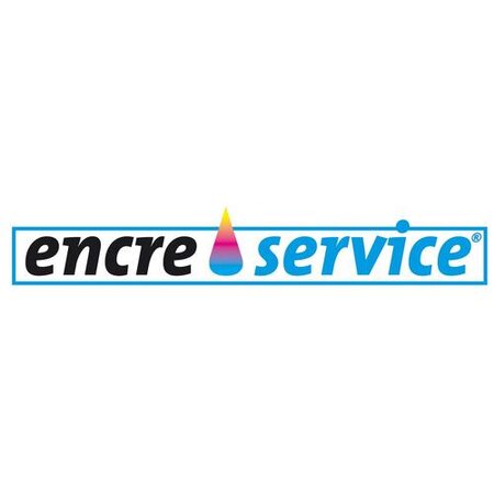 Logo encre service big r 1