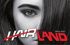 Hairland logo img